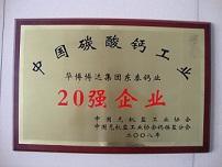 東泰鈣業(yè)超白輕質(zhì)活性碳酸鈣 值得信賴的品牌產(chǎn)品與專業(yè)教育咨詢服務(wù)